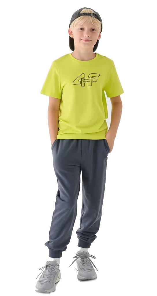 Koszulka Sportowa T-Shirt Dziecięcy 4F M2306