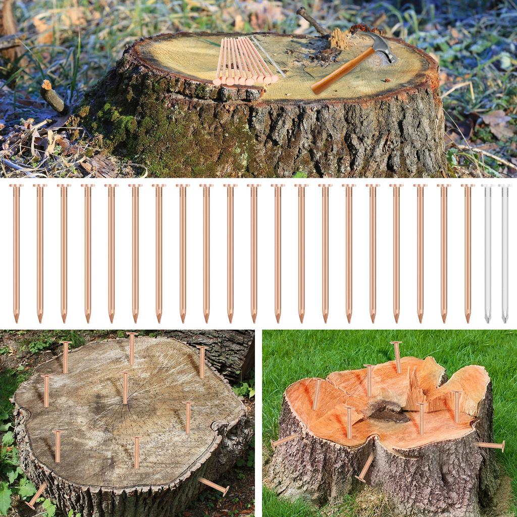 15/20 Pcs Copper Nail for Killing Trees Stumps and Roots Heavy Duty Rustproof Copper Nail Spike Tree Root Killer for Gardening