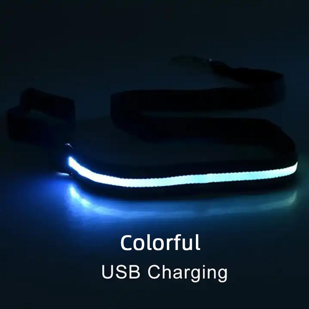 LED Light Up Dog Accessories Leash Luminous Rope Lead Leash For Dog Safety Flashing Glowing Dog Collar Harness Electronic Pet