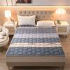 Warm Milk Velvet Mattress Twin Queen King Size Comfortable Soft Foldable Tatami Mattress Winter Single Double