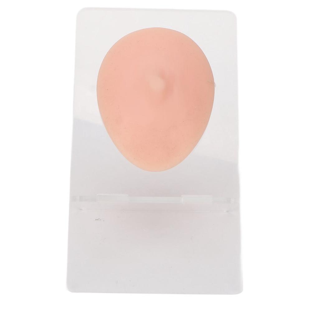 Soft Silicone Single Nipple Model 3D Elastic Simulation Reusable Display Props Body Piercing Model