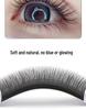 Natural Soft Velvet False Eyelashes - Long, Grafted for a Comic Effect