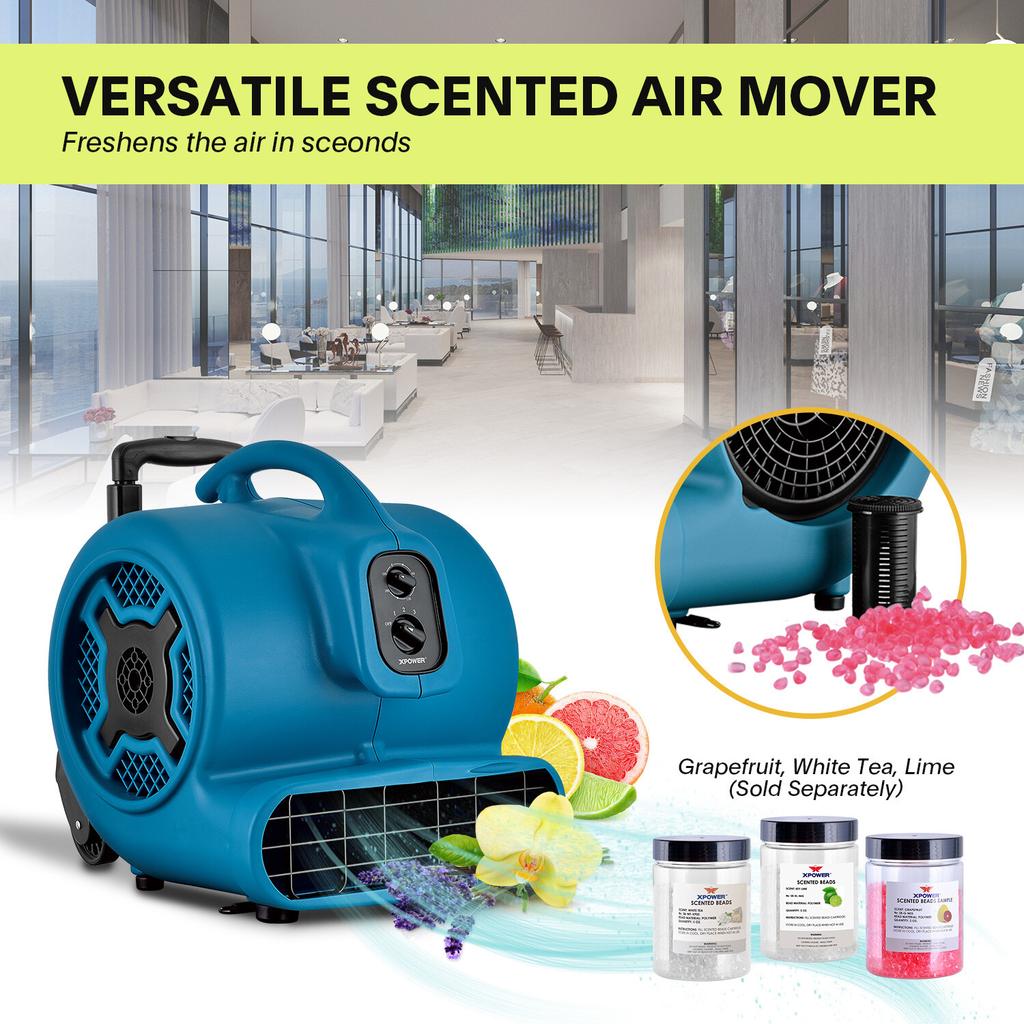 XPOWER P-850TH Blue Large-Scale Floor Blower Timer Tie Rod Grapefruit Scent Bead