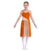 Girls Sleeveless Mesh Straps Color Contrast Leotard Dress for Lyrical Contemporary Dance Performance