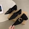 Elegant High Heels Women's Shoes Pointed Toe Fad Chunky Shoes 2026 Spring Luxury Party Shoes Dress Designer Buckle Mujer Zapatos