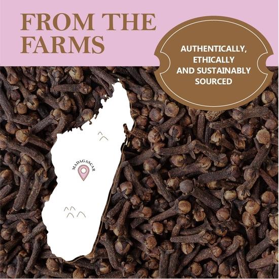 Velká indická kořenárna | Hřebíček (Laung) | 100g plechovka – 100% čistý a přírodní, čerstvý z farmy, nefalšovaný, bez přidaných barviv nebo konzervantů