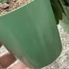 Strawberry Propagation Cups Ventilated Strawberry Plant Starter Cups with And Runner Forks Propagation Containers for Promoting Healthy Growth
