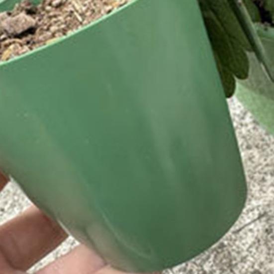 Strawberry Propagation Cups Ventilated Strawberry Plant Starter Cups with And Runner Forks Propagation Containers for Promoting Healthy Growth
