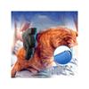 Professional Pet Grooming Glove 2 in 1 Deshedding Brush and Bath Massager for Dogs Cats Rabbits Gentle Hair Remover DeMatting