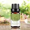 10ml Meridian Dredging Oil Easy To Absorb Deep Cleanse Repair After Sun Shrink