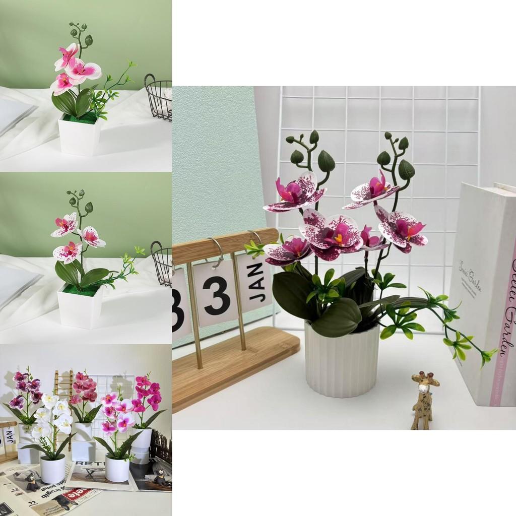 Butterfly Orchid Faux Plant With 3d Printing Technique For Indoor Home Decoration And Photography