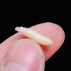 50Pcs 1.6cm Beige/Luminous Fishing Lures Maggot Grub Soft Fishing Lure Bionics Smell Worms Glow Shrimps Fishing Bait Accessories