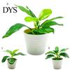 Garden Artificial Potted Plant Realistic Plastic Eye-Catching Decoration Imitative Bonsai Plants for Home