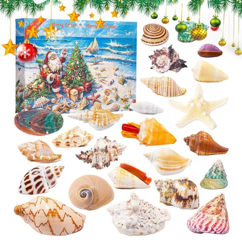 2025 Seashells Advent Calendar,24 Days of Christmas Countdown Toys Learning Collection Seashells Model for Kids Adults