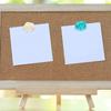 Push Pins for Cork Board 6 Colors Flower Pushpins for Cork Board Cubicle Wall Plastic Assorted 30pcs
