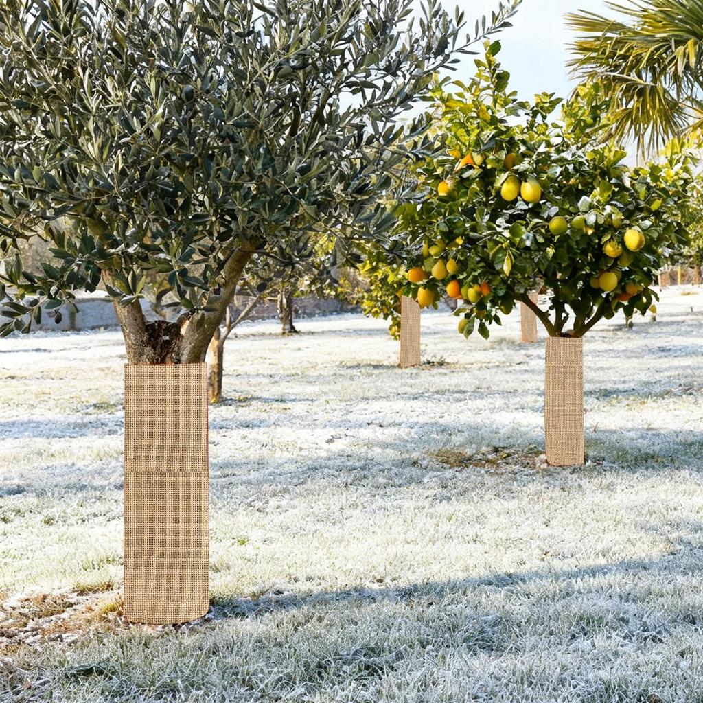 Frost Cloths For Outdoor Plants Breathable Anti-Freeze Cloth Breathable Winter Plant Protector For Fruit Tree Vegetable Berry