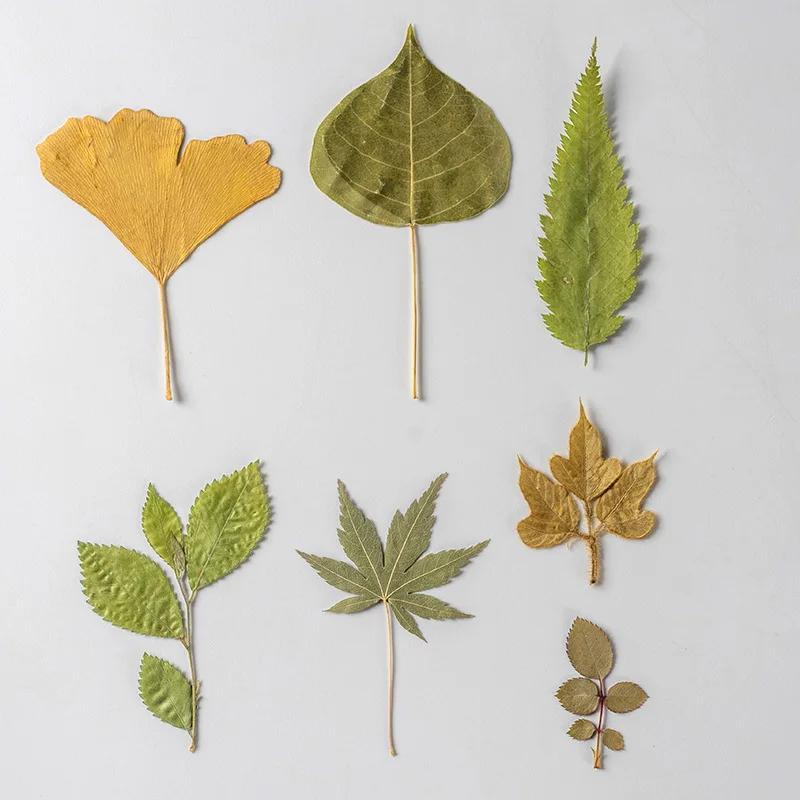 21PCS Set Dried Pressed Plants Leavse for Jewelry Resin Making Natural Green Leaves Flowers Material for DIY Supplies