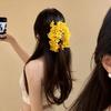 New Spring/Summer Large Full-Bloom Artificial Flower Hair Claw Clip, Women's Fashionable Hawaiian-Style Luxurious and Elegant Floral Hair Clamp