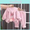 Children Girls Suits Baby Cute Fleece Warm Hooded Tops Pants Sets Kids Thick Rabbit Ear Hoodies Suits 2024 New Spring Autumn