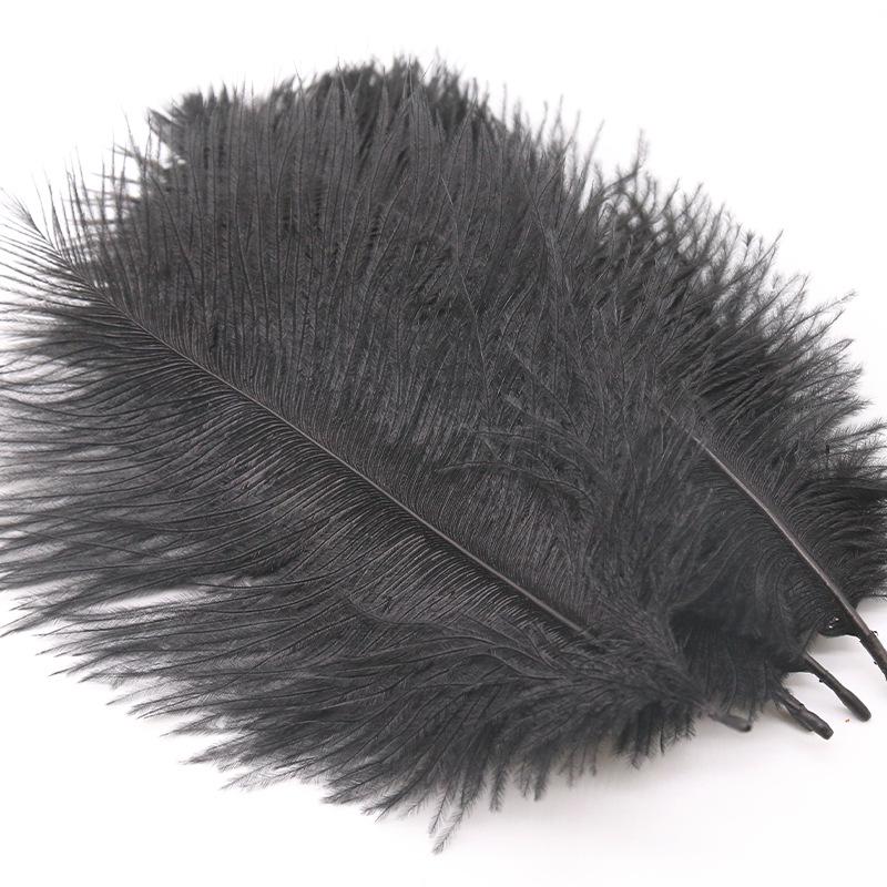 Large 15-20cm Ostrich Feathers for Wedding Arrangements and Stage Props