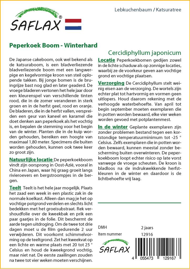 SAFLAX Katsuratree - 200 semi - Cercidiphyllum japonicum