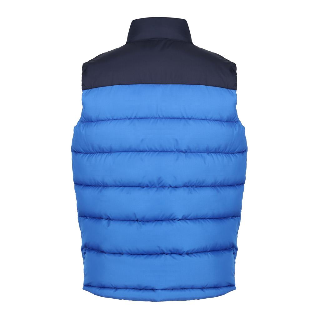 Regatta Professional Herren Colour Block Gilet