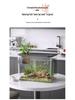 Transparent Plastic Desktop Aquarium: Small Ecological Fish Tank for Goldfish, Ideal for Living Room or Table Landscaping