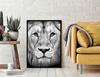 Picture Poster In a Frame 43x33 Cm Lion P1232