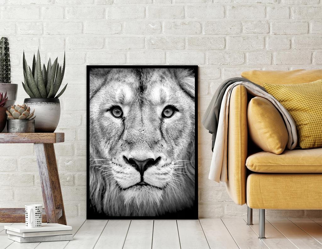 Picture Poster In a Frame 43x33 Cm Lion P1232