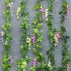 Wisteria Artificial Flowers For Garden Decor With Durable Plastic Vine For Indoor And Outdoor Use