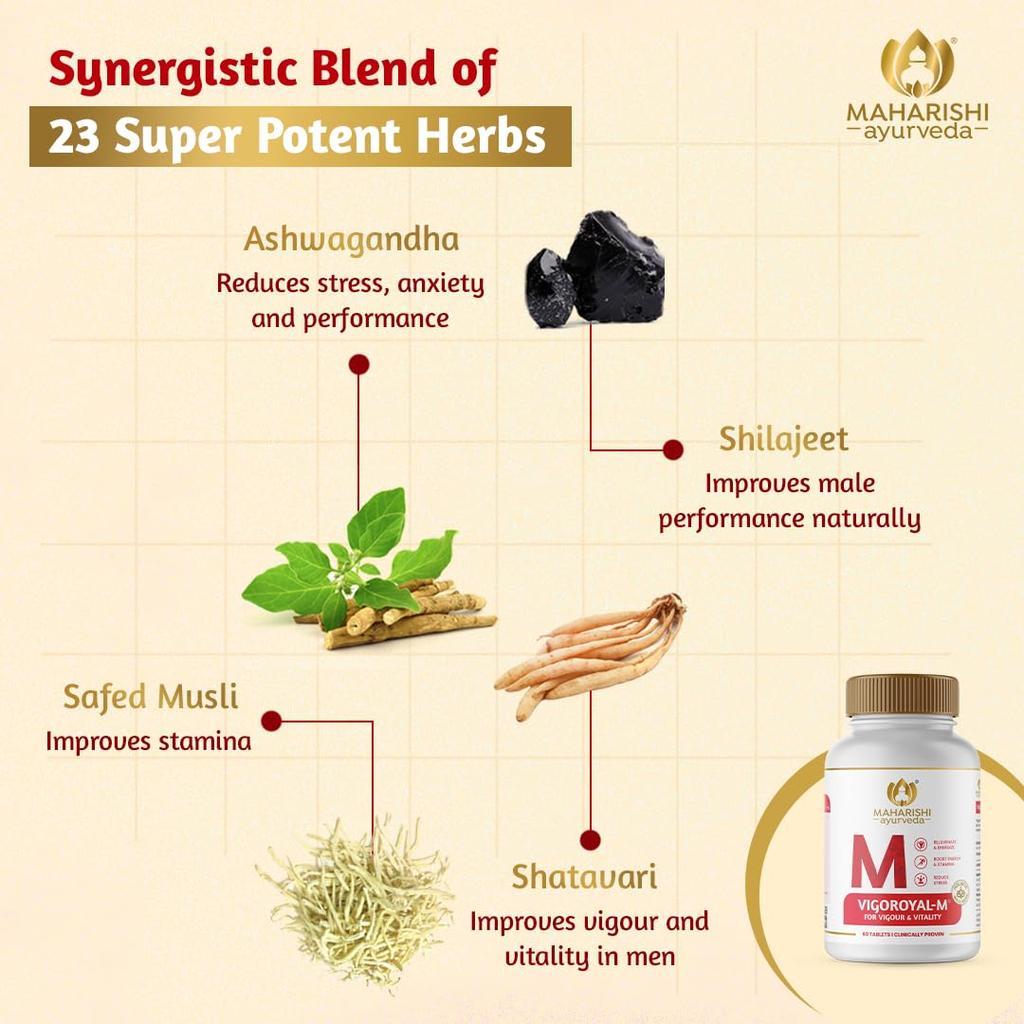 Maharishi Ayurveda Shilajit-Tabletten | Vigoroyal M – angereichert mit Original-Shilajit | Natürliches Shilajeet – 60 Tabletten x 2er-Pack