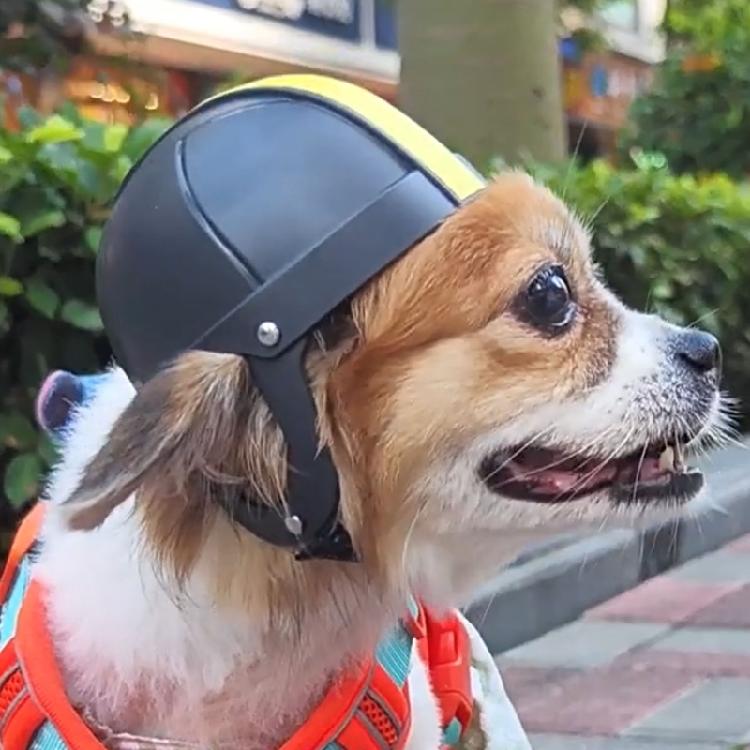Adjustable Safety Pet Cap Dog Helmets Fashion Pet Protects Ridding Cap for Pet