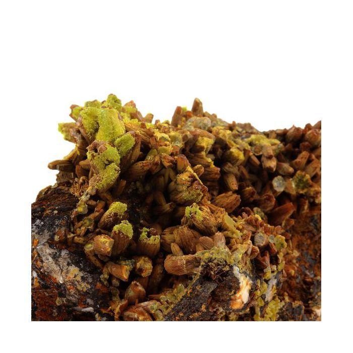 Pierres et Minéraux. Pyromorphite. 2222.5 ct. Les Farges Mine, Ussel, France..