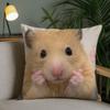 Cute Hamster Pillow Case Square DoubleSided Printing Sofa Cushion Cover Pillowcase Bedroom Bedside