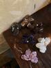 French Fashion Elegant Updo Acetate Hair Claw Hair Crabs Rhinestone Hair Accessories Headwear Flower Shaped