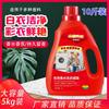 Perfume Fragrance, Lasting Fragrance, Low Foam, Easy Rinse, Laundry Gel, 5KG Large Bottle
