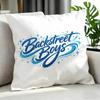 Pop Backstreet Boys Cushion Cover Cushion Cover Set 4Pcs 50X50 45X45 40X40 Pillowcase Decorative Sofa Home Decor