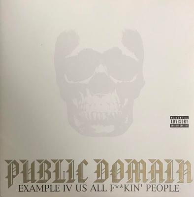CD PUBLIC DOMAIN - Example IV Us All F**Kin' People IPK004 Impak Muzik 2001 Japan ObiRock Used