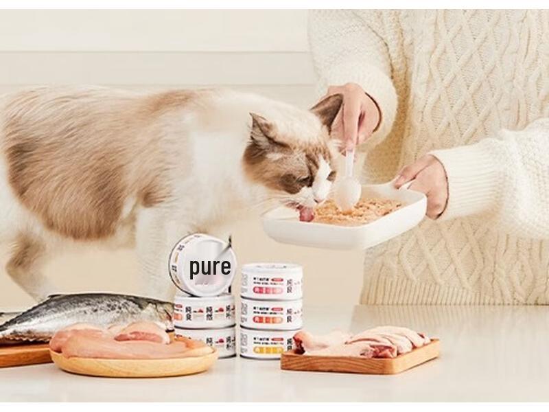 Afei & Badi Hydrating Cat Wet Food Cans