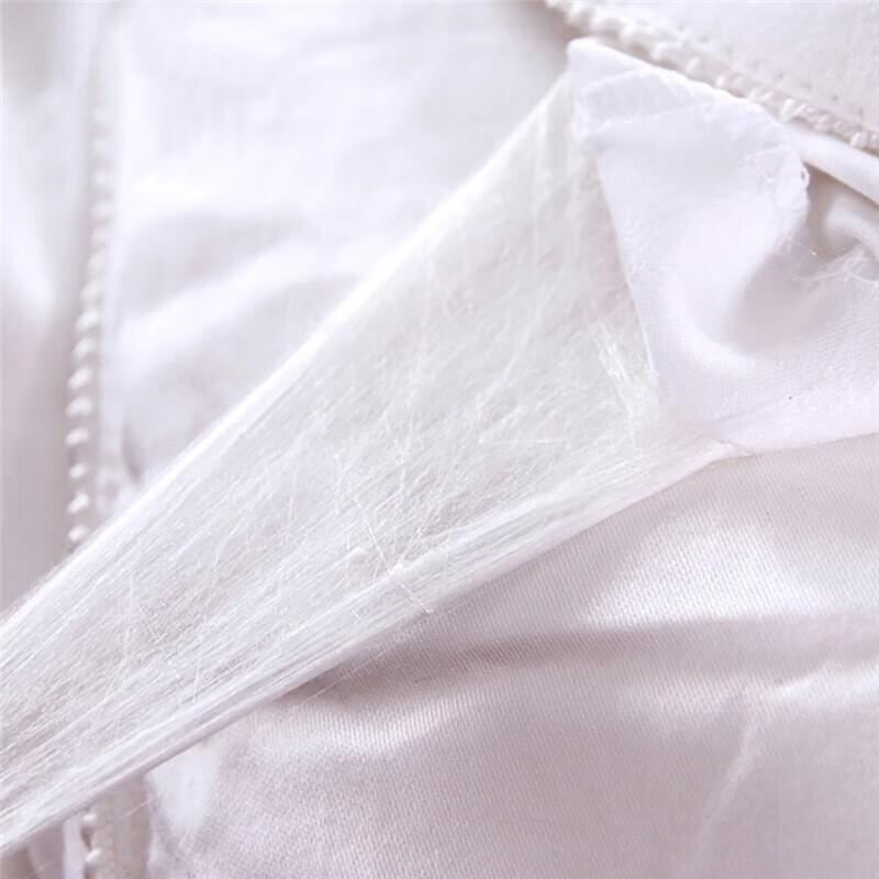 Yiyiai Mulberry Silk Quilt