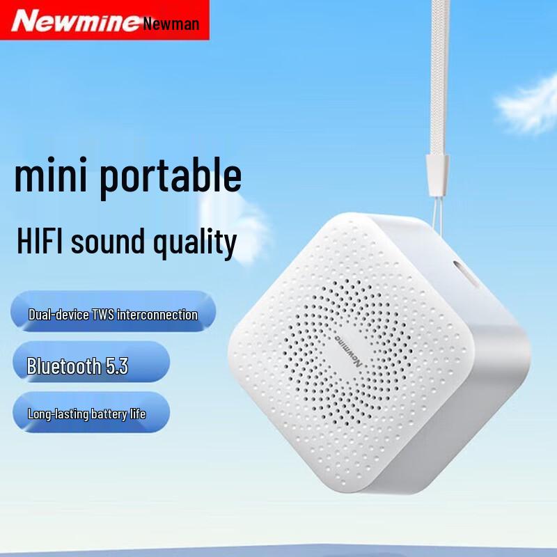 

Newman BT520 Portable Bluetooth Speaker