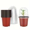 Plant Nursery Pot20-40Personal Reusable Moisturizing Breathable Round Transparent Lid Seedling Tray Planting Tool