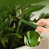 Floral Tape for Bouquet Wrapping Green Paper Adhesive for Artificial Flowers and Plant Stems DIY Crafting and Arranging