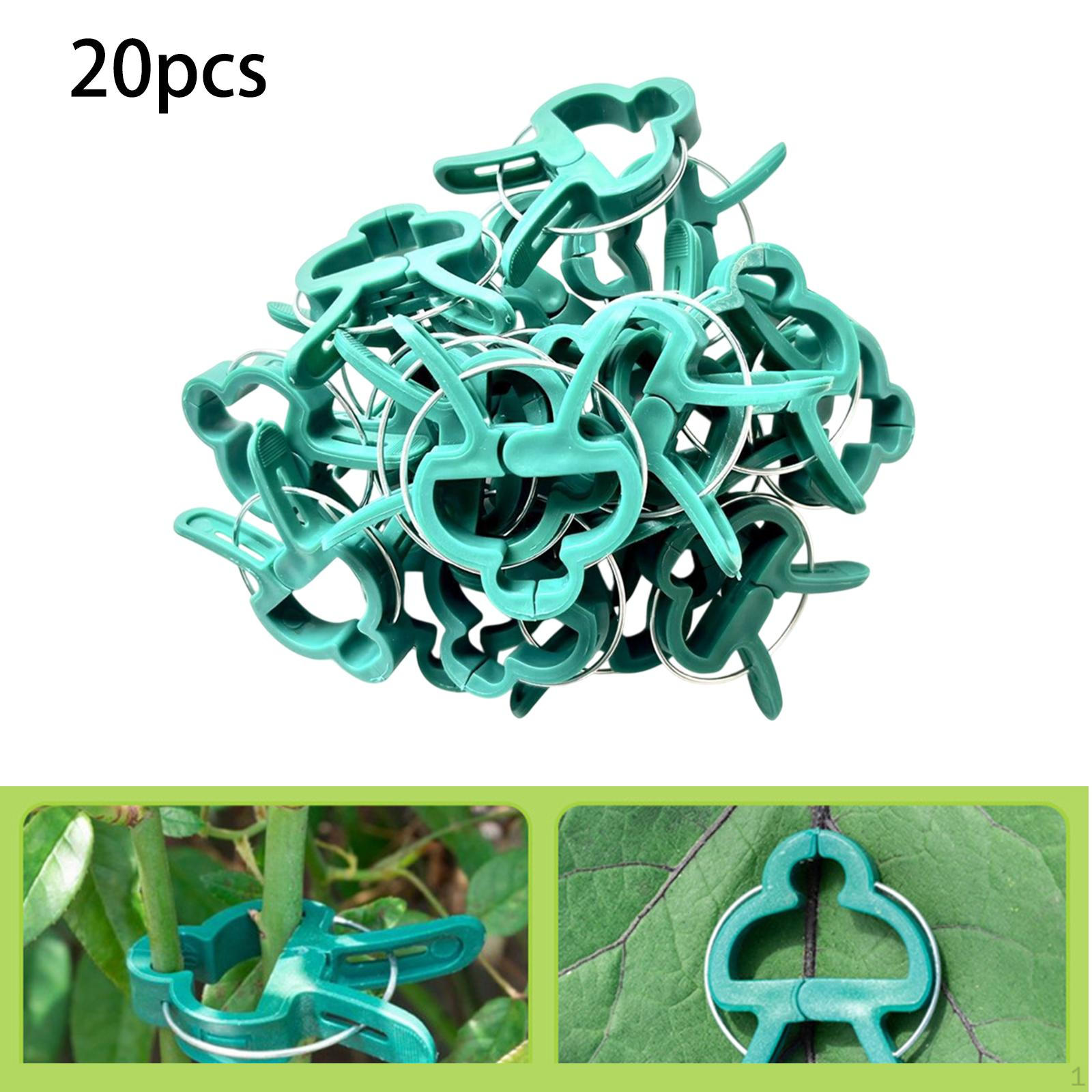 

20 шт. Садовые зажимы Инструменты для роста для практического восстановления Растения Вьющееся растение 20x Large