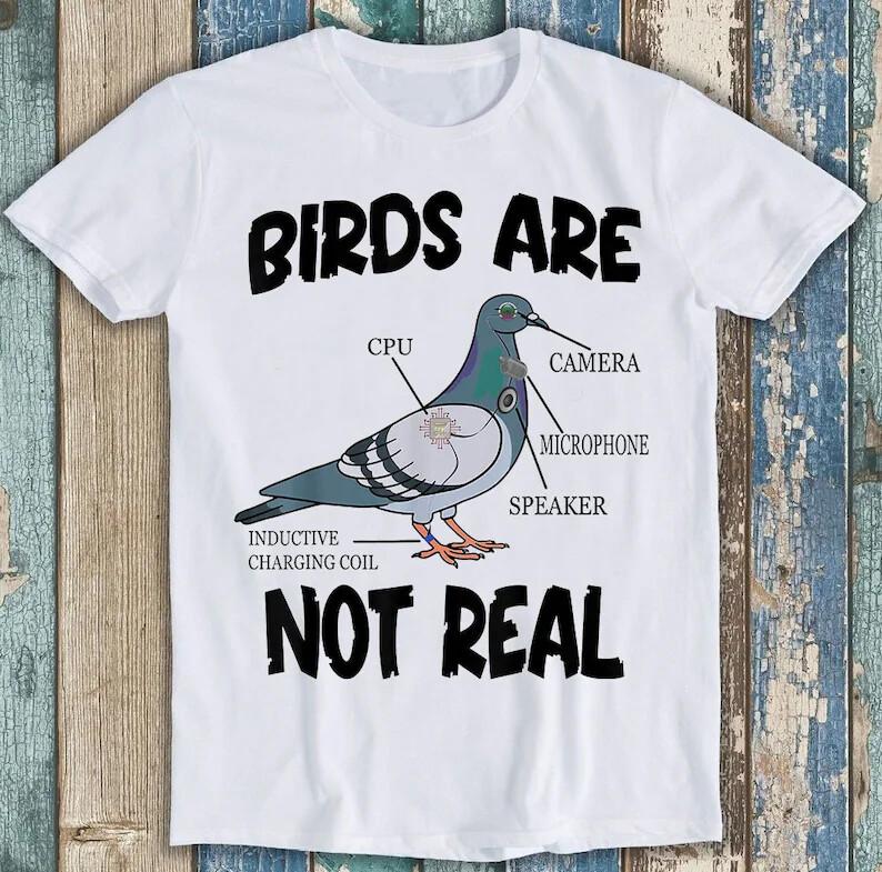

Pigeon Birds Are Not Real Funny Bird Spies Funny Gift Tee T Shirt M1587 L