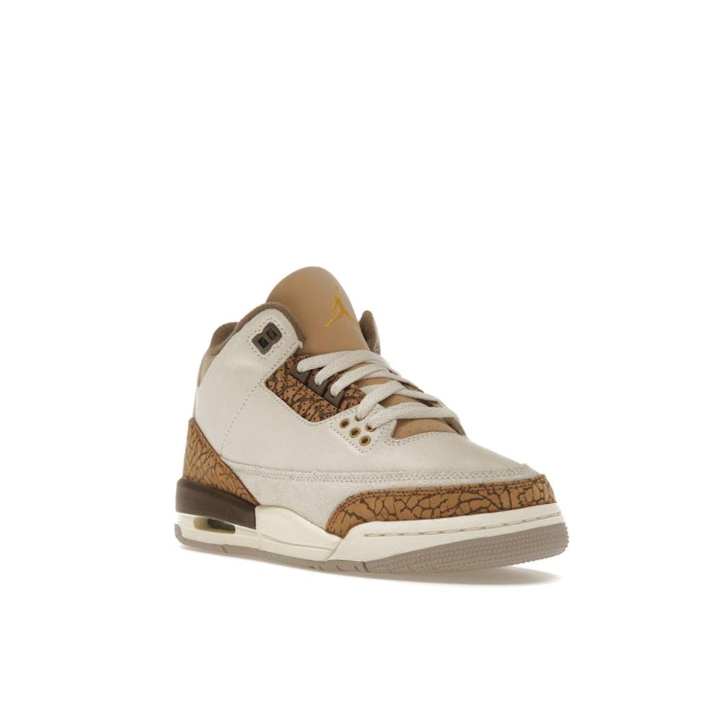 Air Jordan 3 Retro GS Palomino Barnesko Krem Lys-Orewood-Brun Metallisk-Gull DM0967-102
