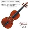 Carlo Giordano Violin Outfit VS-2 1/8
