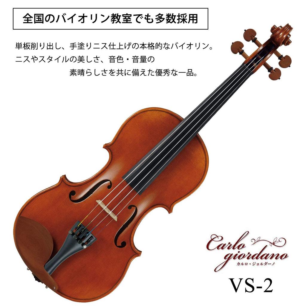 Carlo Giordano Violin Outfit VS-2 1/8