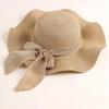 Three Dolphins Women's Wide-Brim Summer Straw Hat