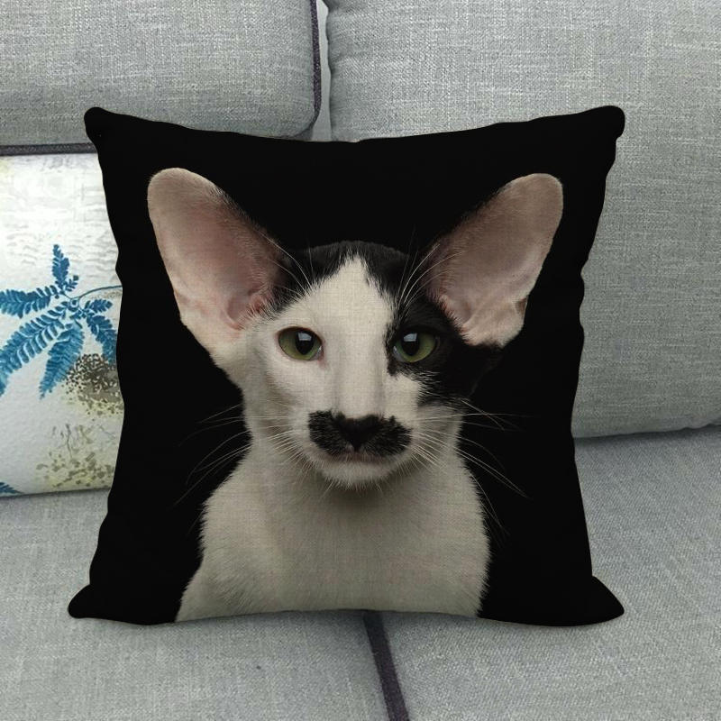 Uroczy zwierzęcy nadruk z kotem seria Sofa kreatywna poduszka prosta poduszka domowa impreza samochód